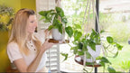 2 Pack Macrame Plant Hanger | Plant Hanger Indoor, Hanging Planter Shelf | - Image 2