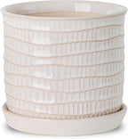 5.8 Inch Plant Pot: Ceramic Planter by Chubacoo