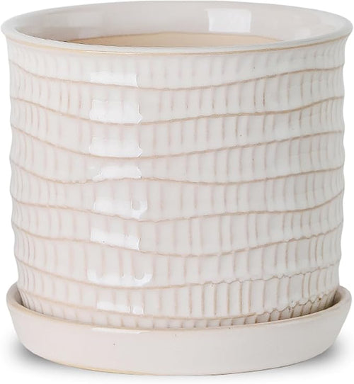 5.8 Inch Plant Pot: Ceramic Planter by Chubacoo