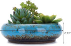 VanEnjoy 7.3 inch Round Large Shallow Succulent Ceramic Glazed Planter Pots - Image 2