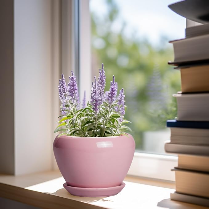 6 Inch Plant Pot - Image 2