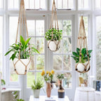 3 Pack Macrame Plant Hanger, Hanging Plant Holder, Boho Home Decor Hanging - Image 7