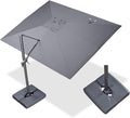 PURPLE LEAF 9' X 11.5' Rectangle Cantilever Umbrella by Unknown