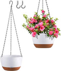 Hanging Planters for Indoor Plants by Unknown