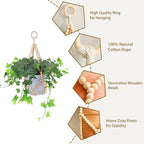 Artilady 2 Pack Beaded Plant Hanger Indoor - Image 4