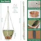 Self-Watering Hanging Planters for Indoor Plants Set 2-Piece Includes Plant - Image 2