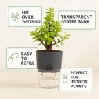 Self Watering Planter Pot with Upgraded Wick System – Modern Indoor Plant Pot - Image 6