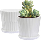 Plant Pots - 6.7 Inch Cylinder Ceramic Planters by sietpoek