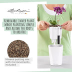Lechuza MINI-DELTINI Shiny Taupe High Gloss, Self-Watering Small Indoor Planter - Image 3