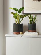 LE TAUCI Ceramic Plant Pots - Image 2