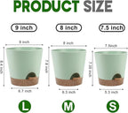 Indoor Self Watering Planters - Image 2