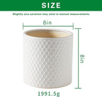 Docrin Ceramic Planters Indoor, 8 Inch Plant Pot - Image 2