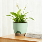 Plant Pots 8/7.5/7/6.5/6 Inch Self Watering Pots, 5 Pack Planters - Image 5