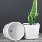 Plant Pots - 4.7 Inch Cylinder Ceramic Planters - Image 6