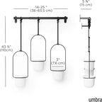 Umbra Triflora Hanging Planter for Window, Indoor Herb Garden - Image 3