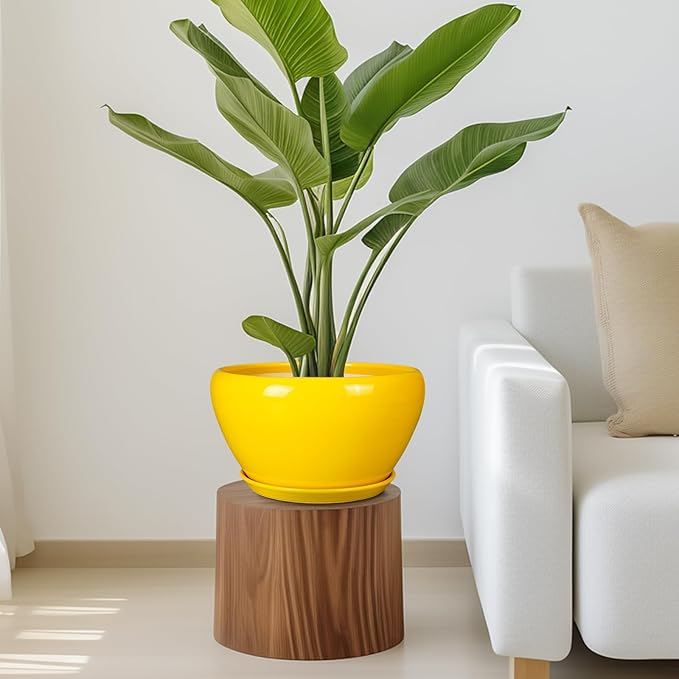 Indoor Planter 11 Inch - Image 7
