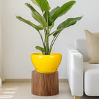 Indoor Planter 11 Inch - Image 7