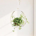Mid Century Boho Macrame Metal Planter by Adnkwolivt