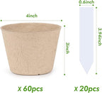homenote Peat Pots - Image 4
