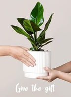 LE TAUCI Ceramic Pots for Plants, 8+6.7+5.5 Inch Plant Pots Indoor, Flower Pot - Image 4