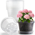 10 Pack 10 Inch Clear Nursery Pots by RooTrimmer