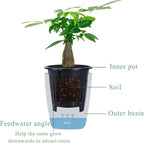 OJYUDD 8 Pack 4 Inch Self Watering Plastic Planter - Image 3