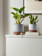 LE TAUCI Ceramic Pots for Plants, 8+6.7+5.5 Inch Plant Pots Indoor, Flower Pot - Image 2