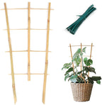 Plant Trellis Indoor 6 Pack Bamboo Trellis by Cambaverd