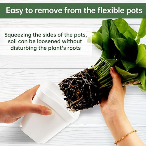 120 Pcs Nursery Pots 3.5 Inch, Plastic Seed Starting Pot - Image 2