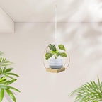 Hanging Planter for Indoor Plants, Plant Hanger - Image 5