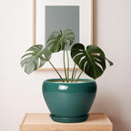 Ceramic Planter for Indoor Plants 10 Inch - Image 7