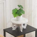 Small Plant Stand Kitchen Display Stand 10 inch Plant Holder Plant Stool Round - Image 8