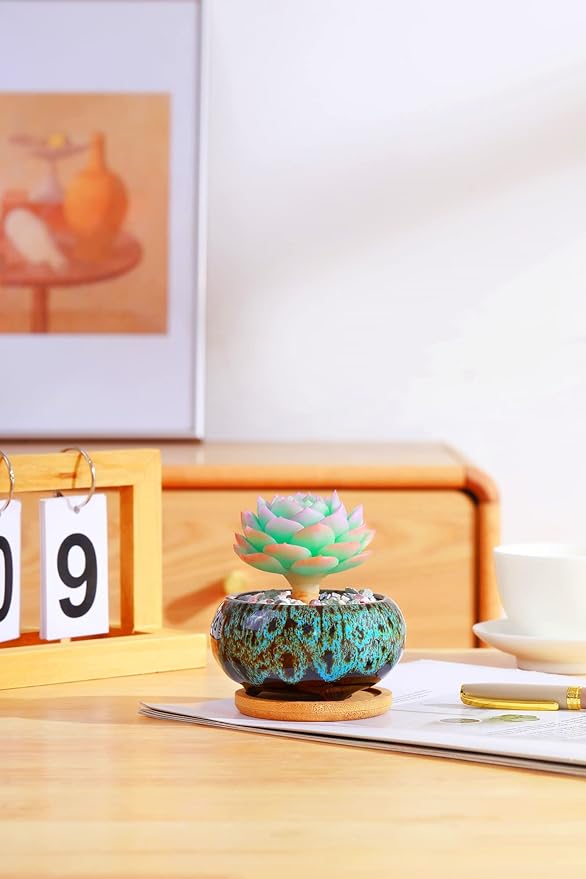 Cute Ceramic Succulent Garden Pots, Planter - Image 3