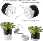 Nihow Self Watering Plant Pot: 6 Inch Ceramic Planter - Image 3