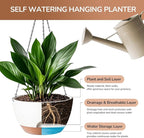 Hanging Planter for Indoor Plants, 10 Inch Self-Watering Hanging Planters - Image 3