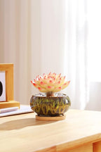Cute Ceramic Succulent Garden Pots, Planter - Image 8