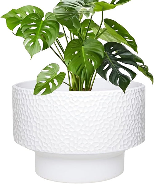11 Inch Ceramic Plant Pots, Planter Pot by Fzfeiyy