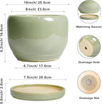 SQOWL Ceramic Planter - Image 3
