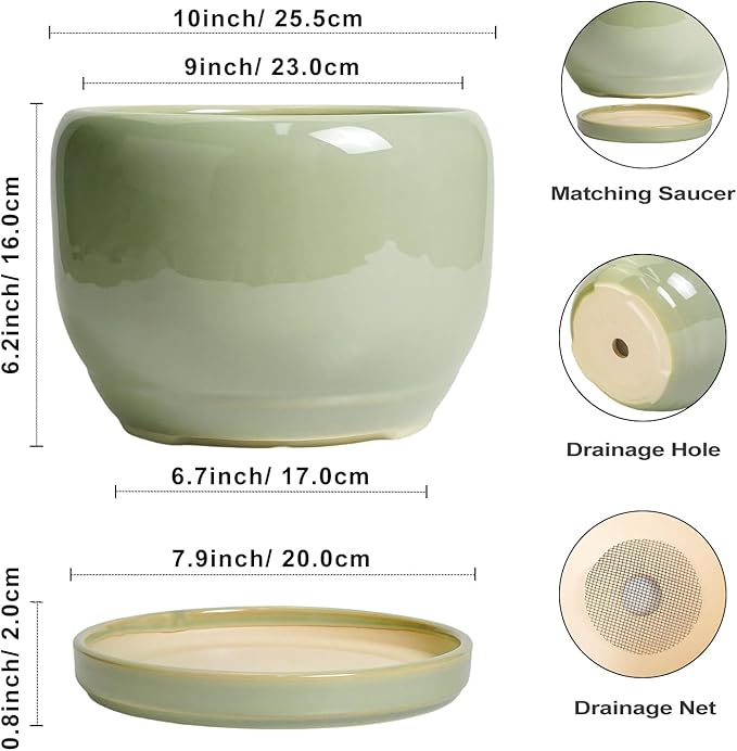 SQOWL Ceramic Planter - Image 3