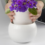 BUYMAX African Violet Pots, 6 inch Ceramic Easy Self Watering Plant Pot - Image 7