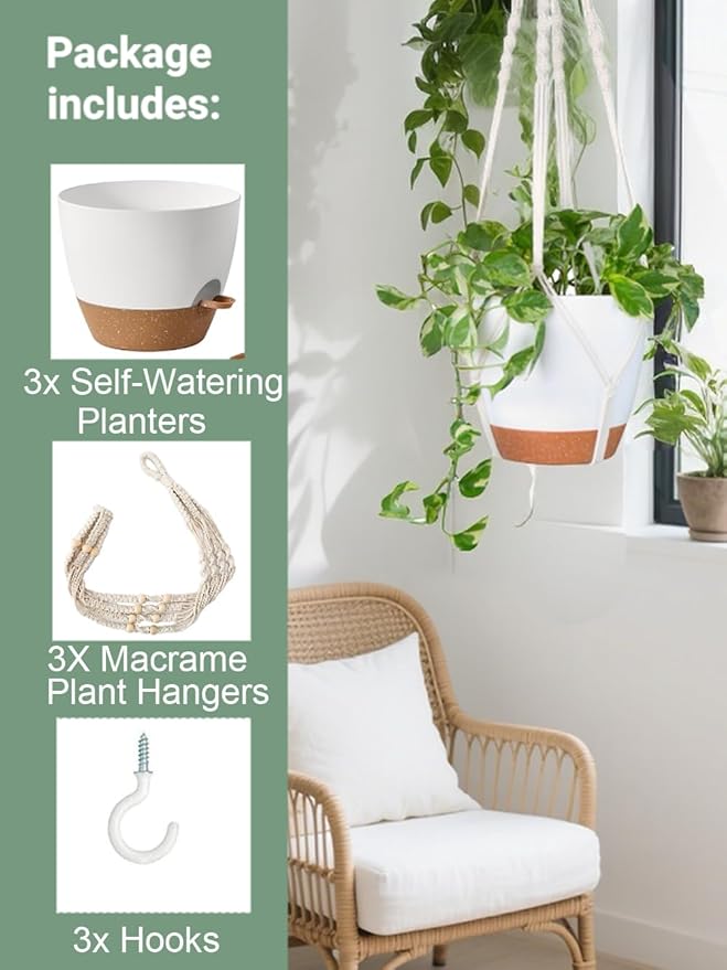 Hanging Planters with Macrame Plant Hangers - Image 4