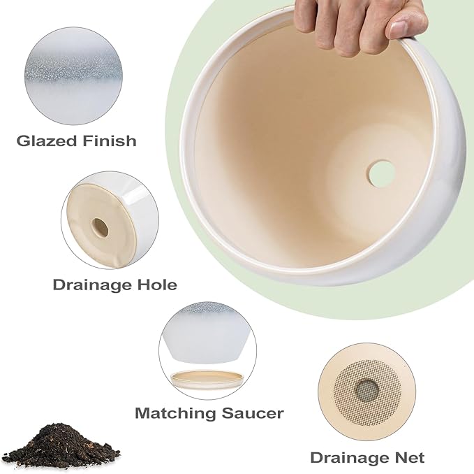 Ceramic Planter - Image 6
