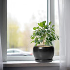 SQOWL Ceramic Plant Pots - Image 4