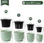 T4U 4 Inch Plant Pots Self Watering, 6 Pack African Violet Pots, Small Plant - Image 3