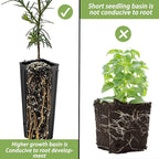 DredQcco Tall Deep Tree Pot - Image 3