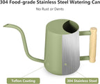 Watering Can Indoor Plants, 35oz Small Indoor Stainless Steel Metal Watering - Image 5