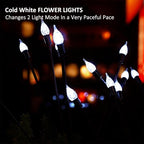 2 Pack Each 8 LEDs Solar Garden Lights Waterproof Outdoor Landscape Path - Image 6