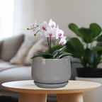 G EPGardening Modern Ceramic Planter - Image 2