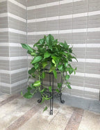11.8 inches Diameter Tall Metal Plant Stand - Image 6