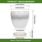 6.3 Inch Plant Pot - Image 3